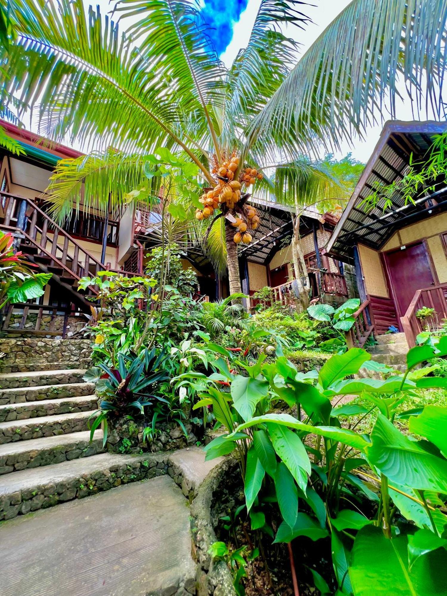 Novie'S Tourist Inn El Nido Bagian luar foto