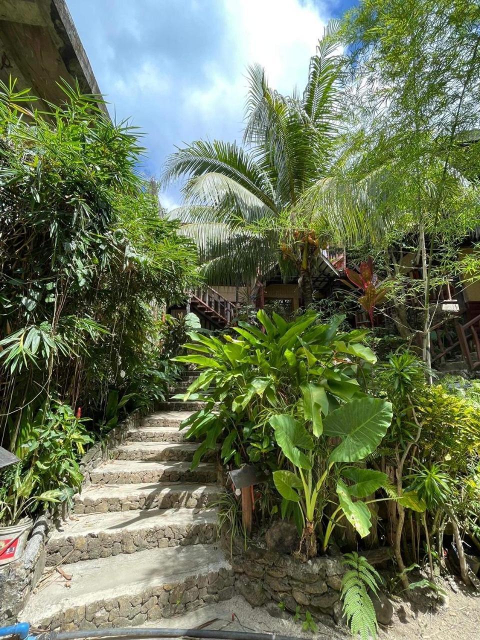 Novie'S Tourist Inn El Nido Bagian luar foto