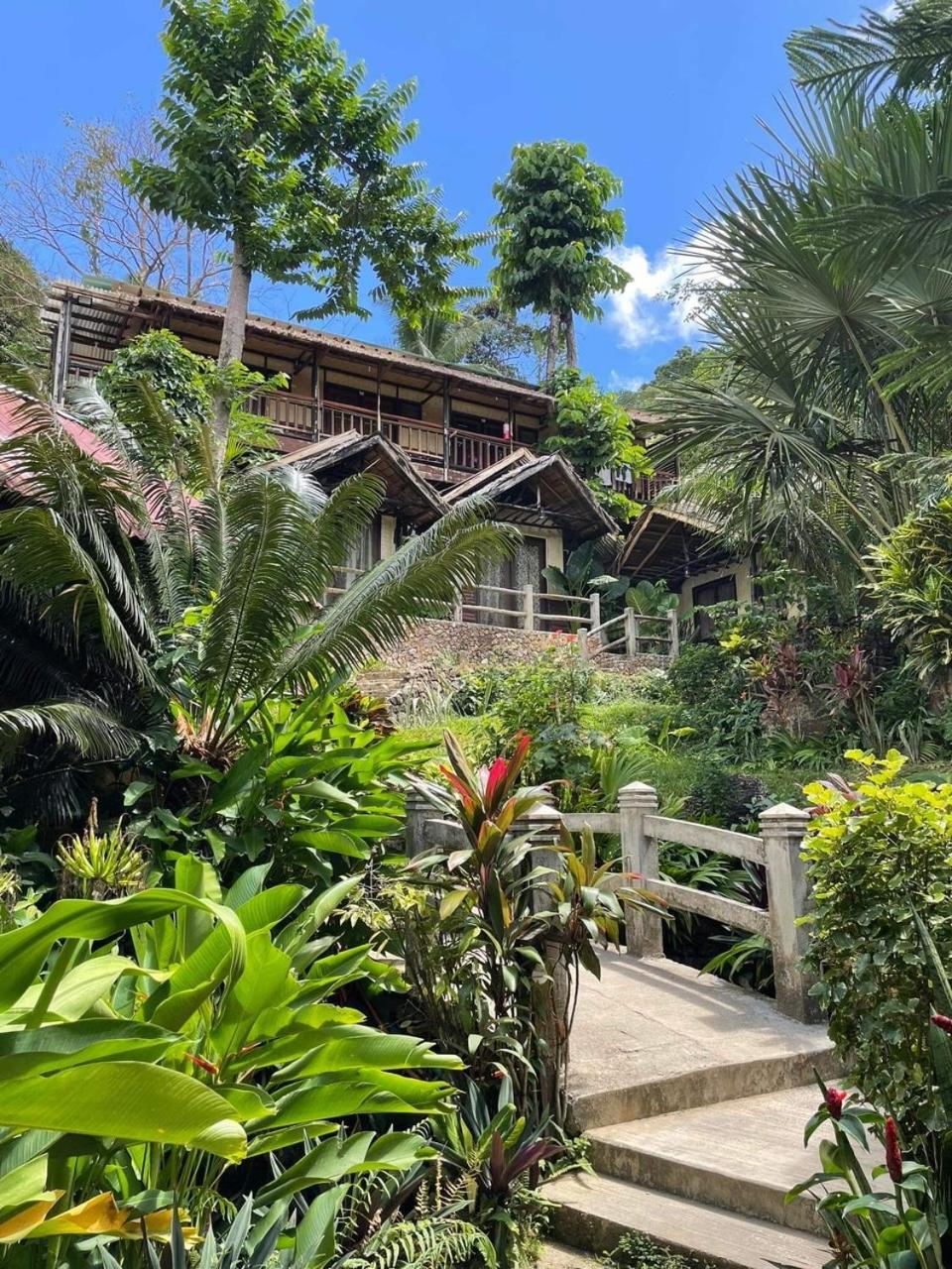 Novie'S Tourist Inn El Nido Bagian luar foto